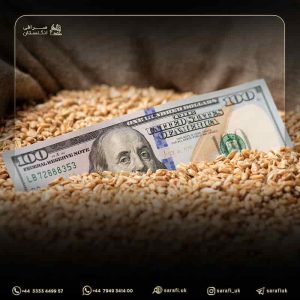 ارز مبادله ای